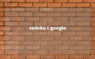 sudoku i google 