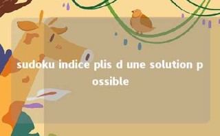 sudoku indice plis d une solution possible 